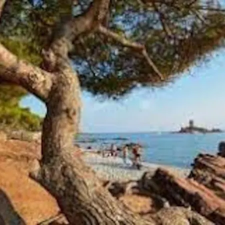 Superbe Duplex T3 Climatise Avec Terrasse Et Solarium, Magnifique Vue Et Golf Apartment *